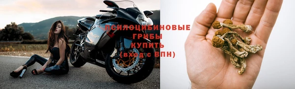 спиды Верея