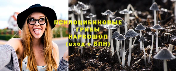 спиды Верея