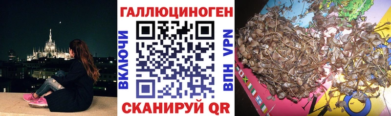 Купить закладки  Майский  Псилоцибиновые грибы Magic Shrooms 